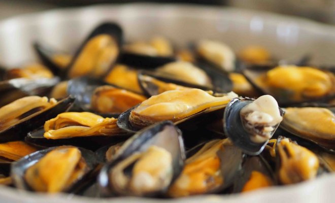 リヨンでムール貝のムールフリットがおいしいレストラン一覧